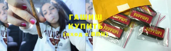 гидра Бородино