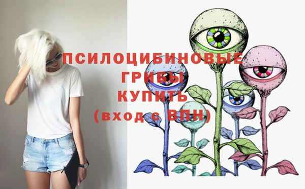 шишки Богданович