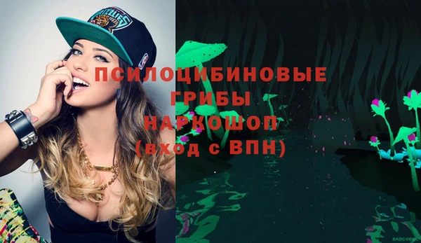 герыч Богородицк
