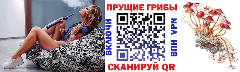 Псилоцибиновые грибы GOLDEN TEACHER  Березники 
