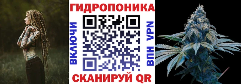 где купить   Березники  Шишки марихуана ГИДРОПОН 